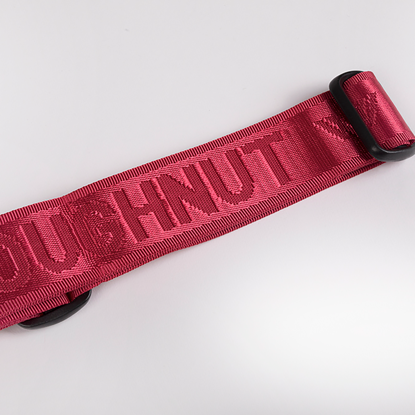 Luggage Belt